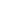 SDG 9